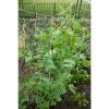 Vigoro 5 ft. x 8 ft. Sturdy Garden Trellis -Vigoro sales Store white vigoro tomato cages t008avg 64 1000
