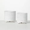 SULLIVANS Whitewash Textured Footed Cement Pot - Set of 2 -Vigoro sales Store whitewashed sullivans plant pots cmt1206 64 1000