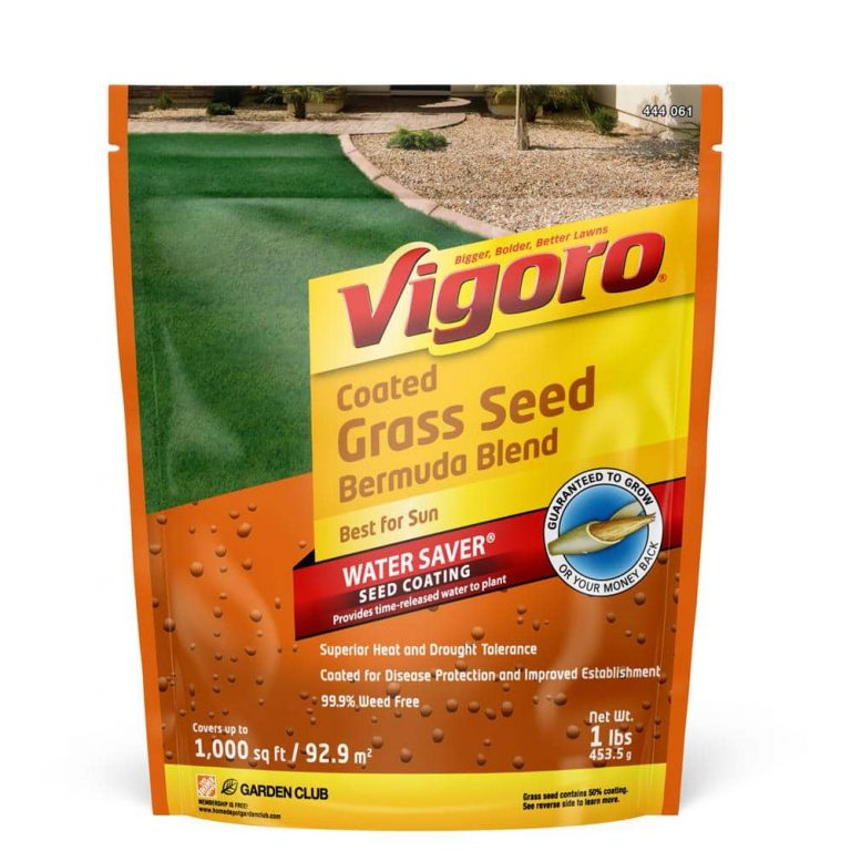 Vigoro sales Store -Vigoro sales Store vigoro grass seed 52334 64 1000 768x768 1