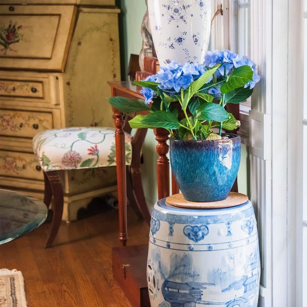 Vigoro sales Store -Vigoro sales Store vigoro planter saucers cm10phbdi fa 1000